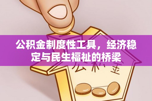 仙居公积金制度性工具，经济稳定与民生福祉的桥梁