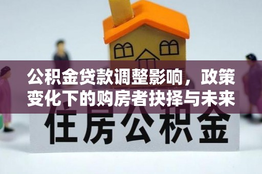 仙居公积金贷款调整影响，政策变化下的购房者抉择与未来趋势