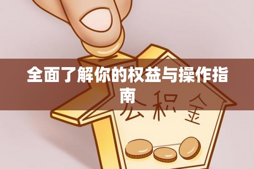 仙居全面了解你的权益与操作指南