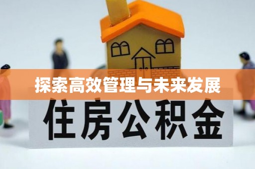 仙居探索高效管理与未来发展