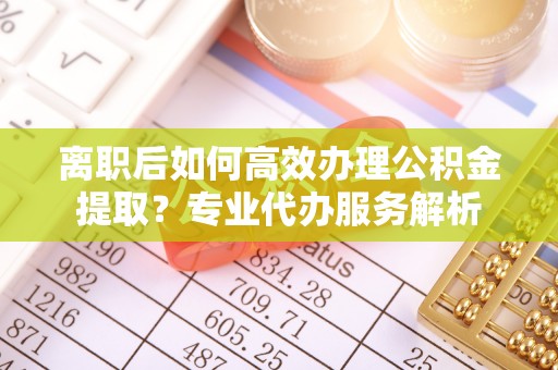 仙居离职后如何高效办理公积金提取？专业代办服务解析