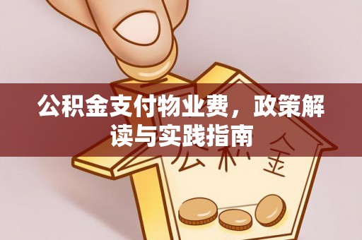 仙居公积金支付物业费，政策解读与实践指南