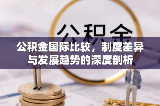 仙居公积金国际比较，制度差异与发展趋势的深度剖析