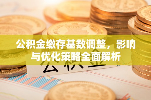 仙居公积金缴存基数调整，影响与优化策略全面解析