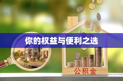 仙居你的权益与便利之选