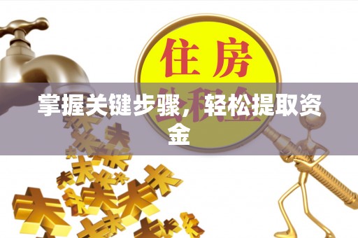 仙居掌握关键步骤，轻松提取资金