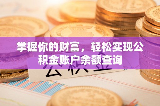 仙居掌握你的财富，轻松实现公积金账户余额查询