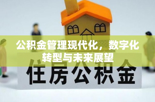 仙居公积金管理现代化，数字化转型与未来展望