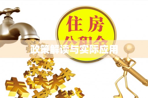 仙居政策解读与实际应用