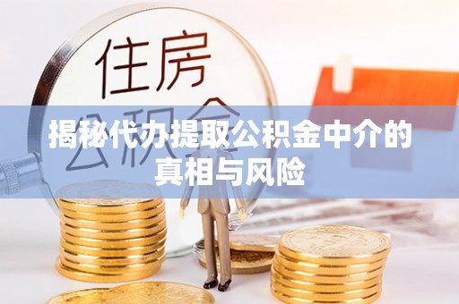 仙居揭秘代办提取公积金中介的真相与风险