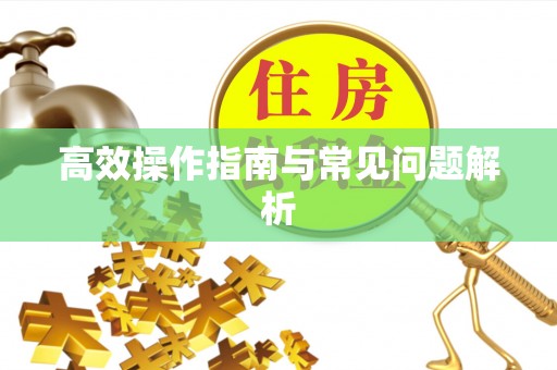 仙居高效操作指南与常见问题解析