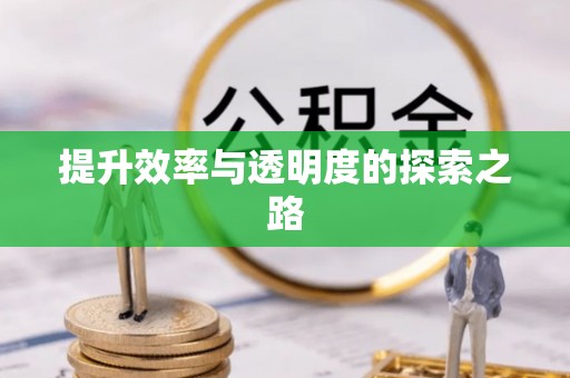 仙居提升效率与透明度的探索之路