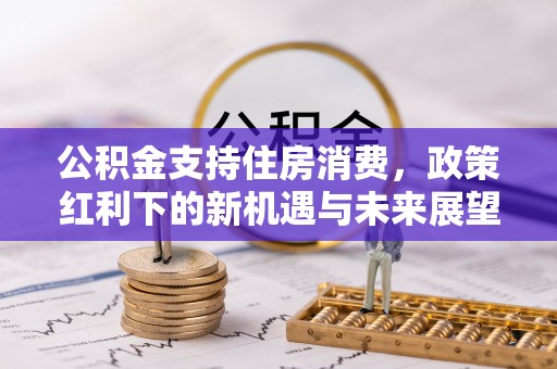 仙居公积金支持住房消费，政策红利下的新机遇与未来展望
