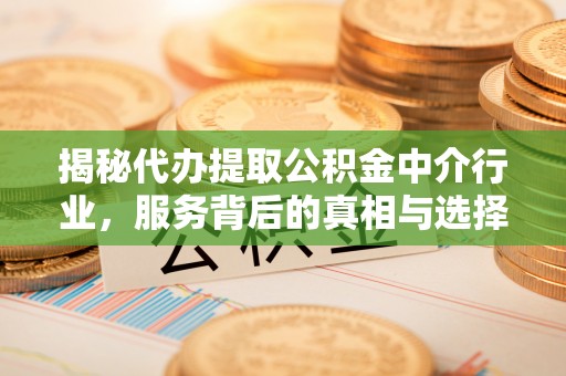 仙居揭秘代办提取公积金中介行业，服务背后的真相与选择指南