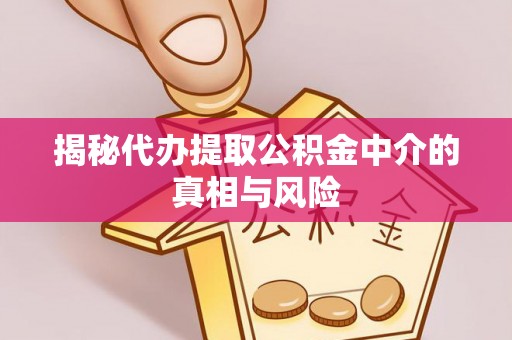 仙居揭秘代办提取公积金中介的真相与风险