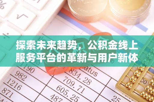 仙居探索未来趋势，公积金线上服务平台的革新与用户新体验