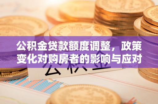 仙居公积金贷款额度调整，政策变化对购房者的影响与应对策略