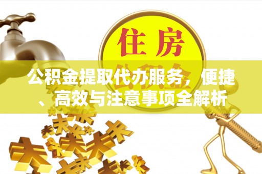 仙居公积金提取代办服务，便捷、高效与注意事项全解析