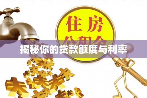 仙居揭秘你的贷款额度与利率