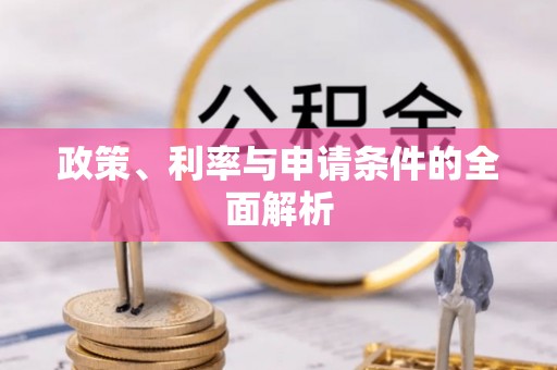 仙居政策、利率与申请条件的全面解析