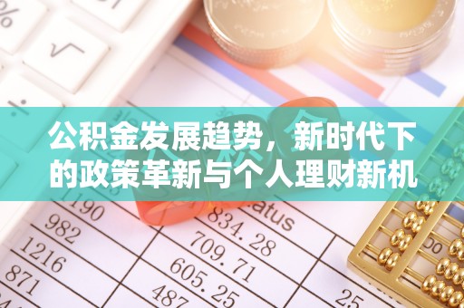 仙居公积金发展趋势，新时代下的政策革新与个人理财新机遇