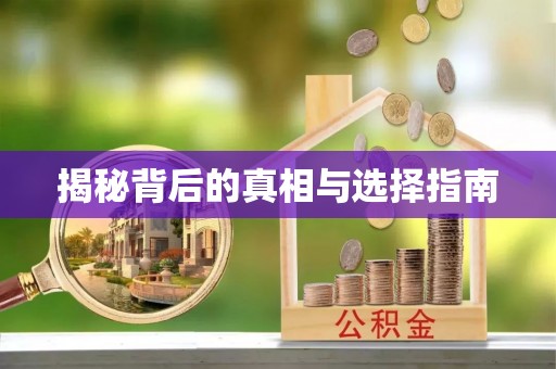 仙居揭秘背后的真相与选择指南