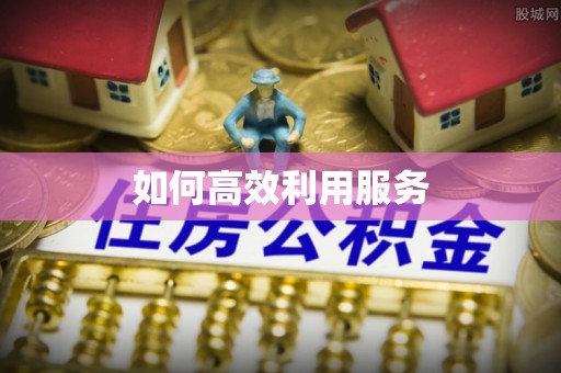 仙居如何高效利用服务