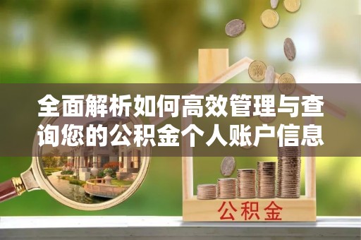 仙居全面解析如何高效管理与查询您的公积金个人账户信息