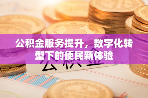 仙居公积金服务提升，数字化转型下的便民新体验