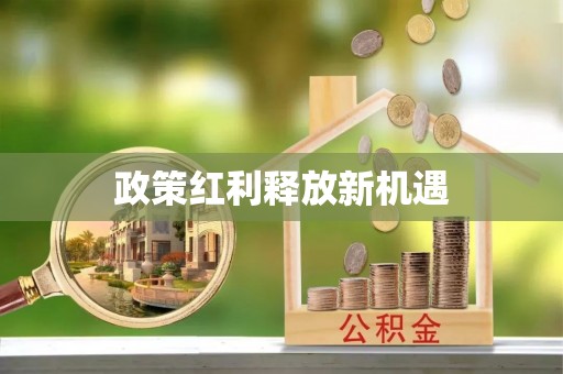 仙居政策红利释放新机遇