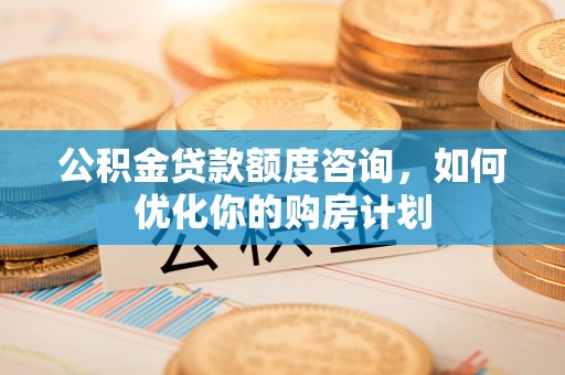 仙居公积金贷款额度咨询，如何优化你的购房计划