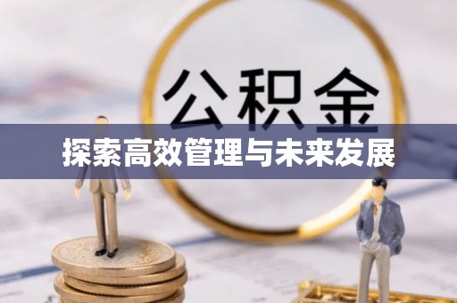 仙居探索高效管理与未来发展