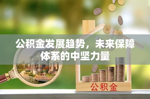 仙居公积金发展趋势，未来保障体系的中坚力量