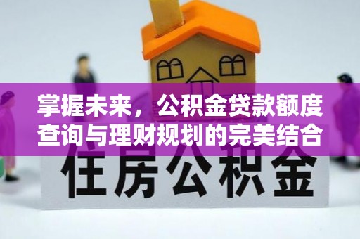 仙居掌握未来，公积金贷款额度查询与理财规划的完美结合