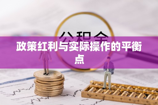 仙居政策红利与实际操作的平衡点