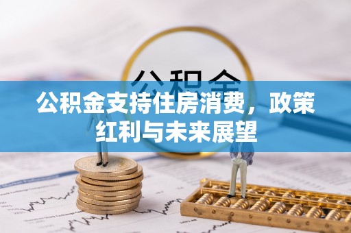 仙居公积金支持住房消费，政策红利与未来展望
