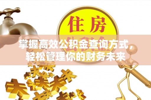 仙居掌握高效公积金查询方式，轻松管理你的财务未来