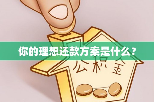仙居你的理想还款方案是什么？