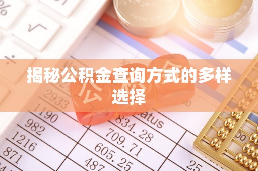 仙居揭秘公积金查询方式的多样选择