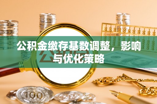 仙居公积金缴存基数调整，影响与优化策略