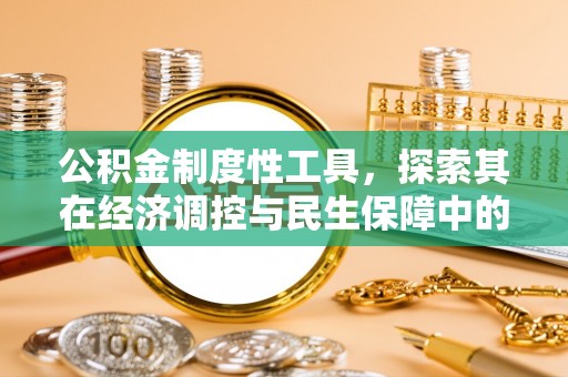仙居公积金制度性工具，探索其在经济调控与民生保障中的重要作用