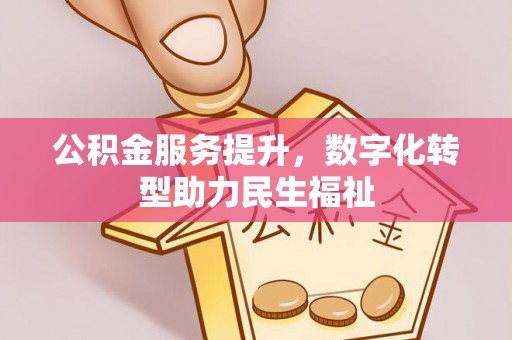 仙居公积金服务提升，数字化转型助力民生福祉