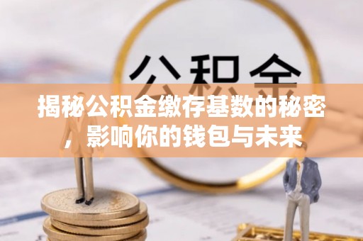仙居揭秘公积金缴存基数的秘密，影响你的钱包与未来