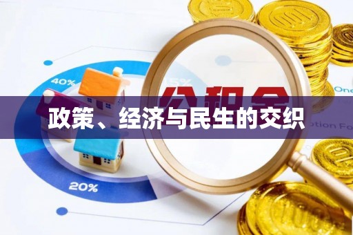 仙居政策、经济与民生的交织
