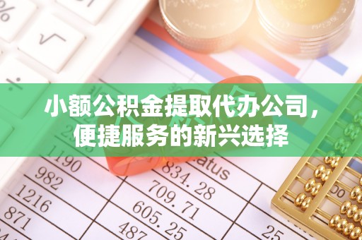 仙居小额公积金提取代办公司，便捷服务的新兴选择