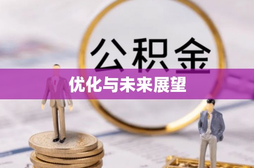 仙居优化与未来展望