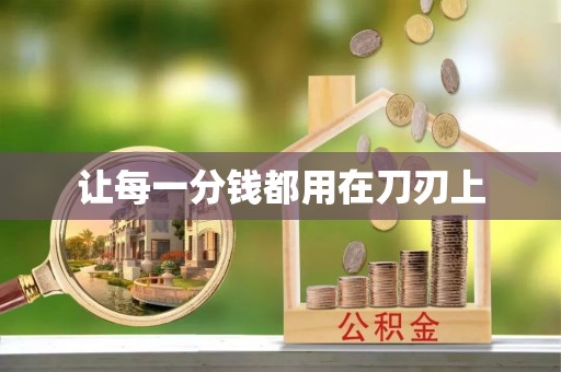 仙居让每一分钱都用在刀刃上