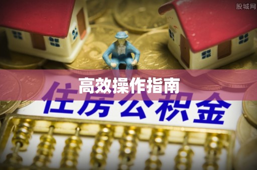 仙居高效操作指南