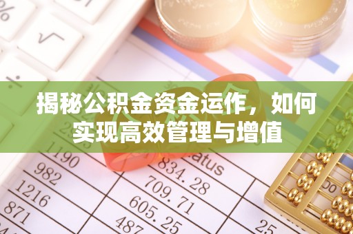 仙居揭秘公积金资金运作，如何实现高效管理与增值