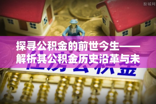 仙居探寻公积金的前世今生——解析其公积金历史沿革与未来方向